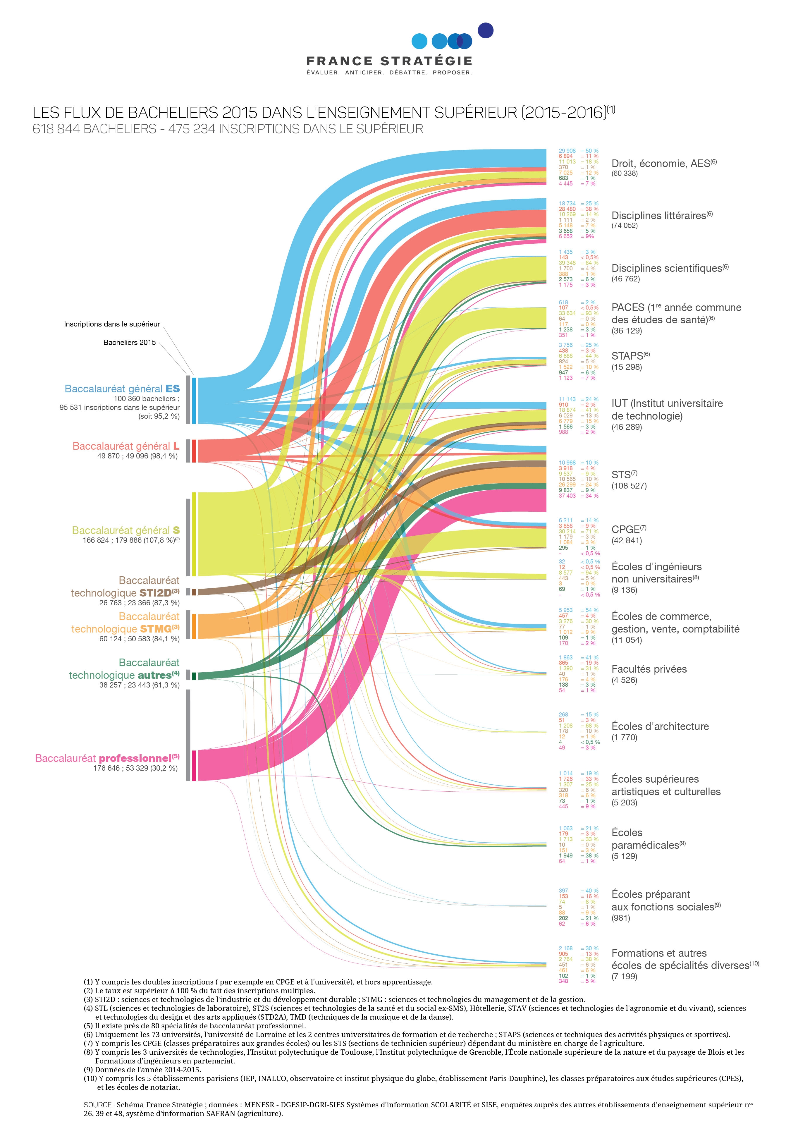 Infographie Les flux de bacheliers